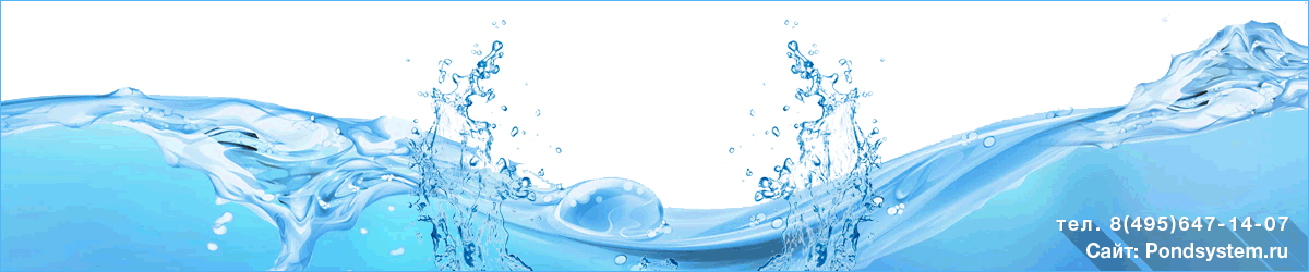 Акция на PondSystem